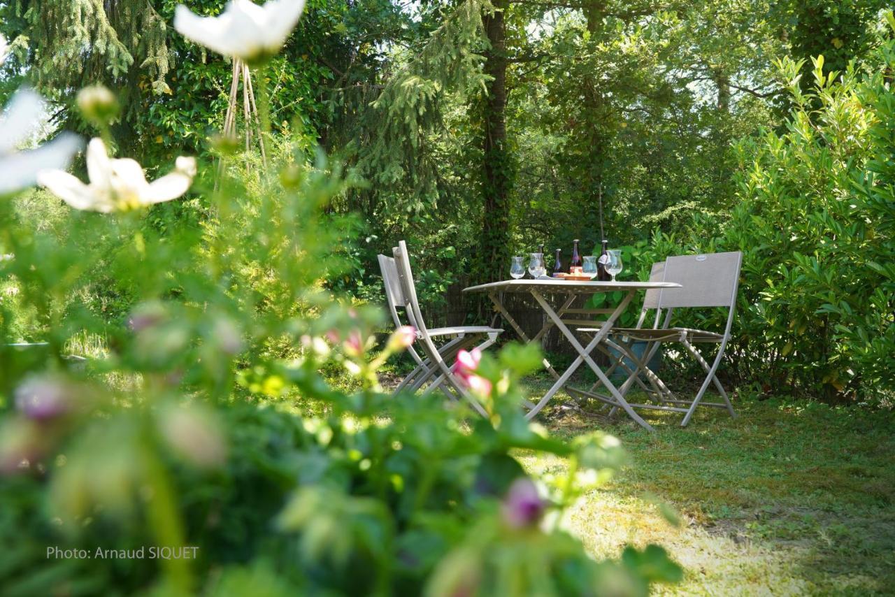 Le Jardin Des Biches Bed & Breakfast Somme-Leuze Ngoại thất bức ảnh